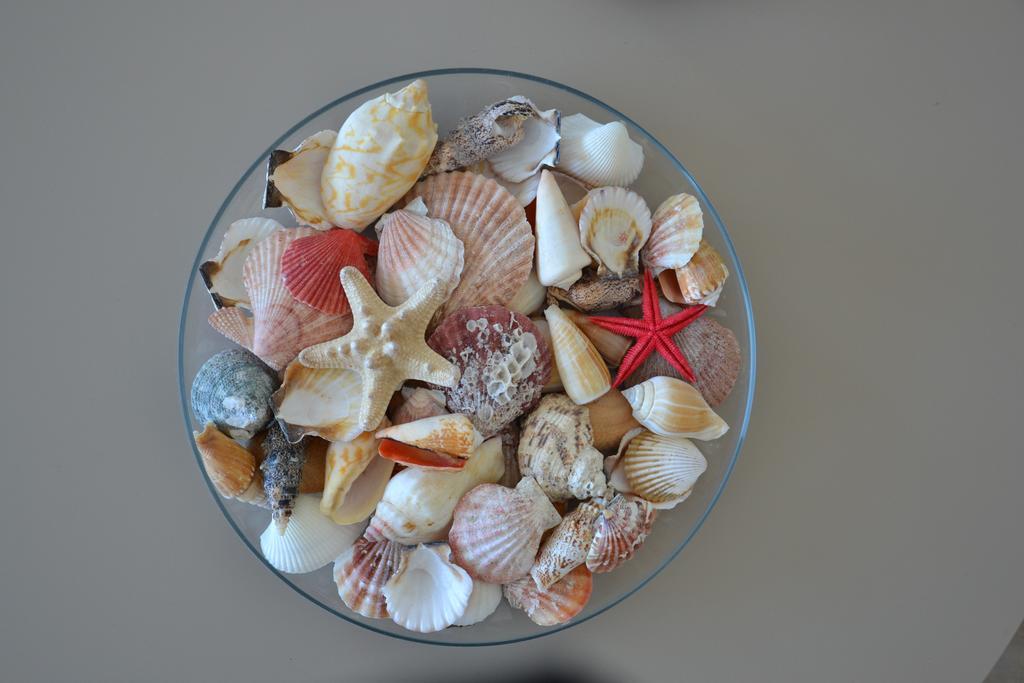 Beach Apartment Ikusasa ザントフォールト エクステリア 写真